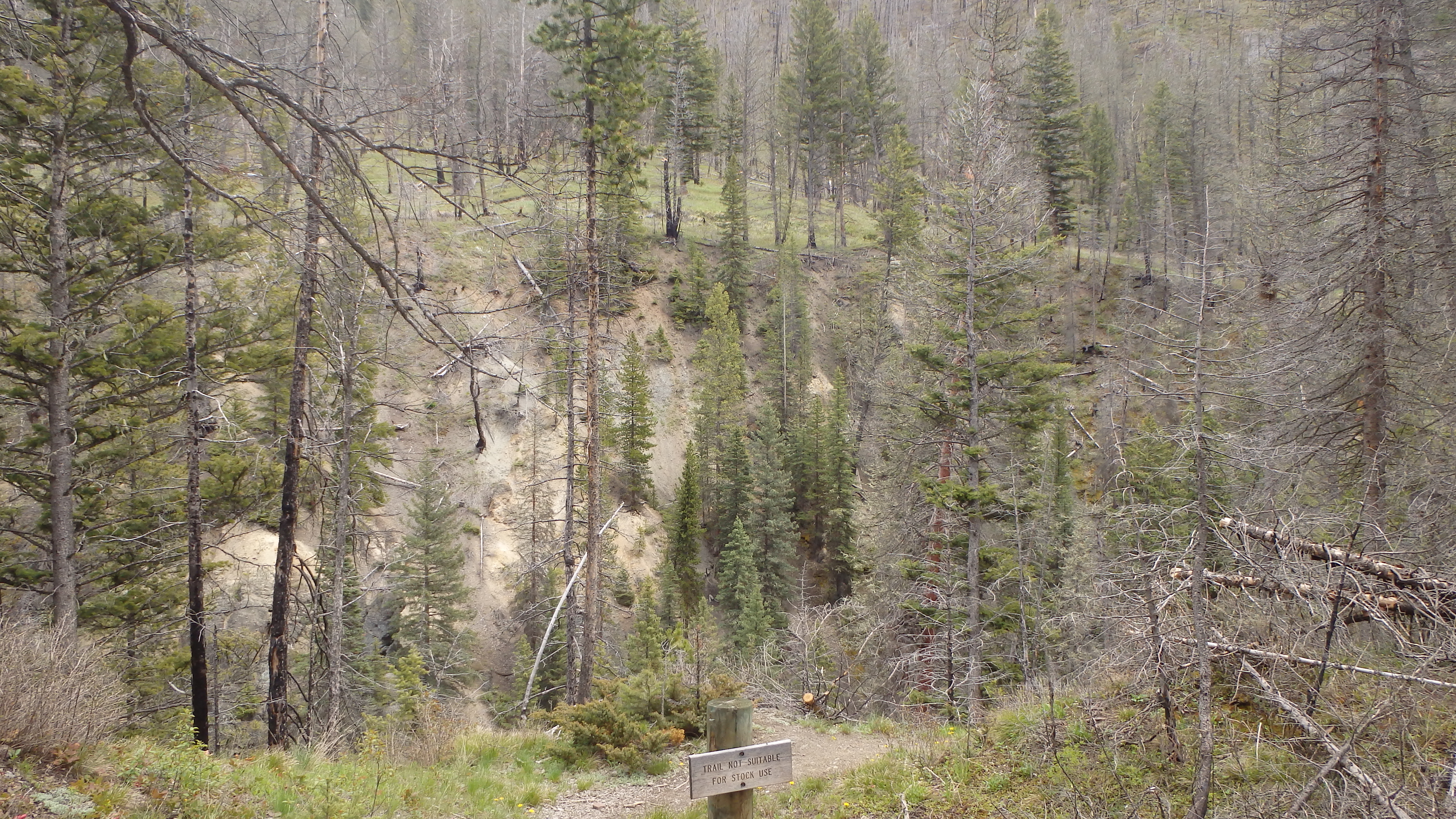 Passage Falls Absaroka Range