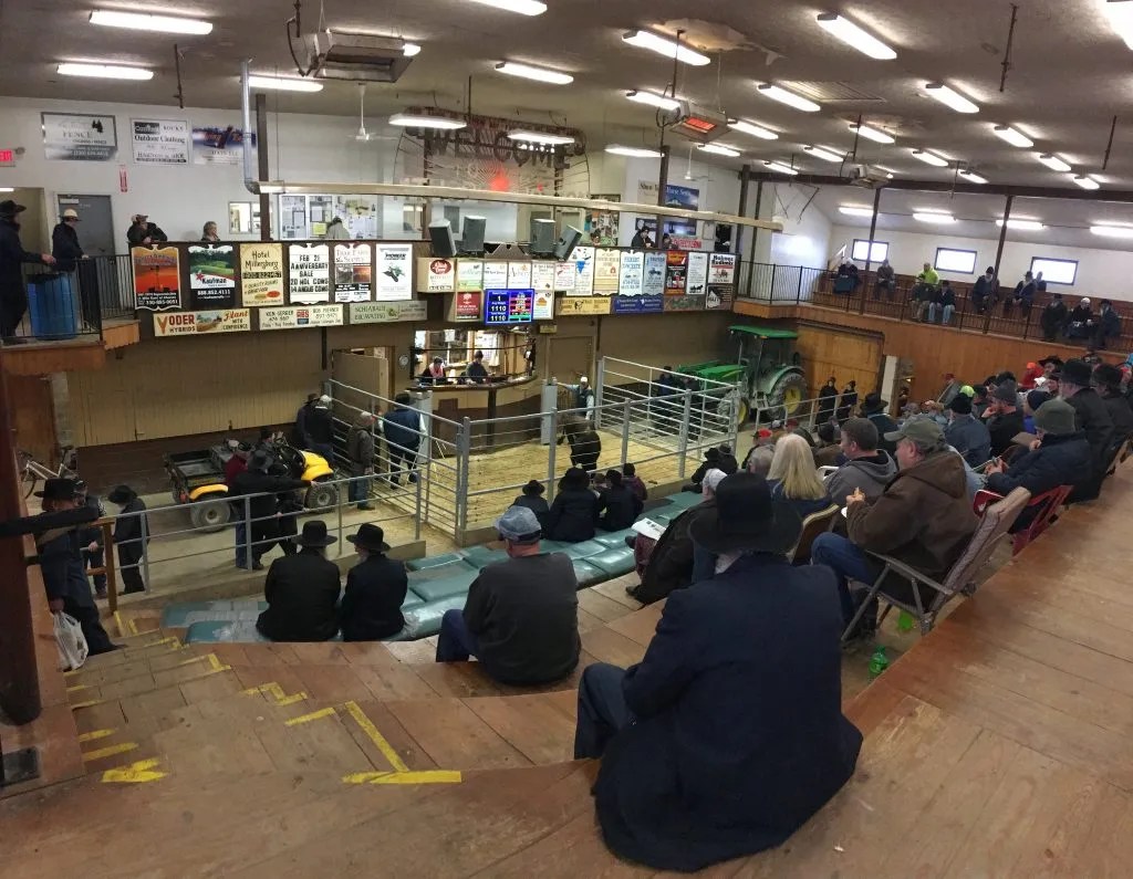 Gallery Mt. Hope Auction