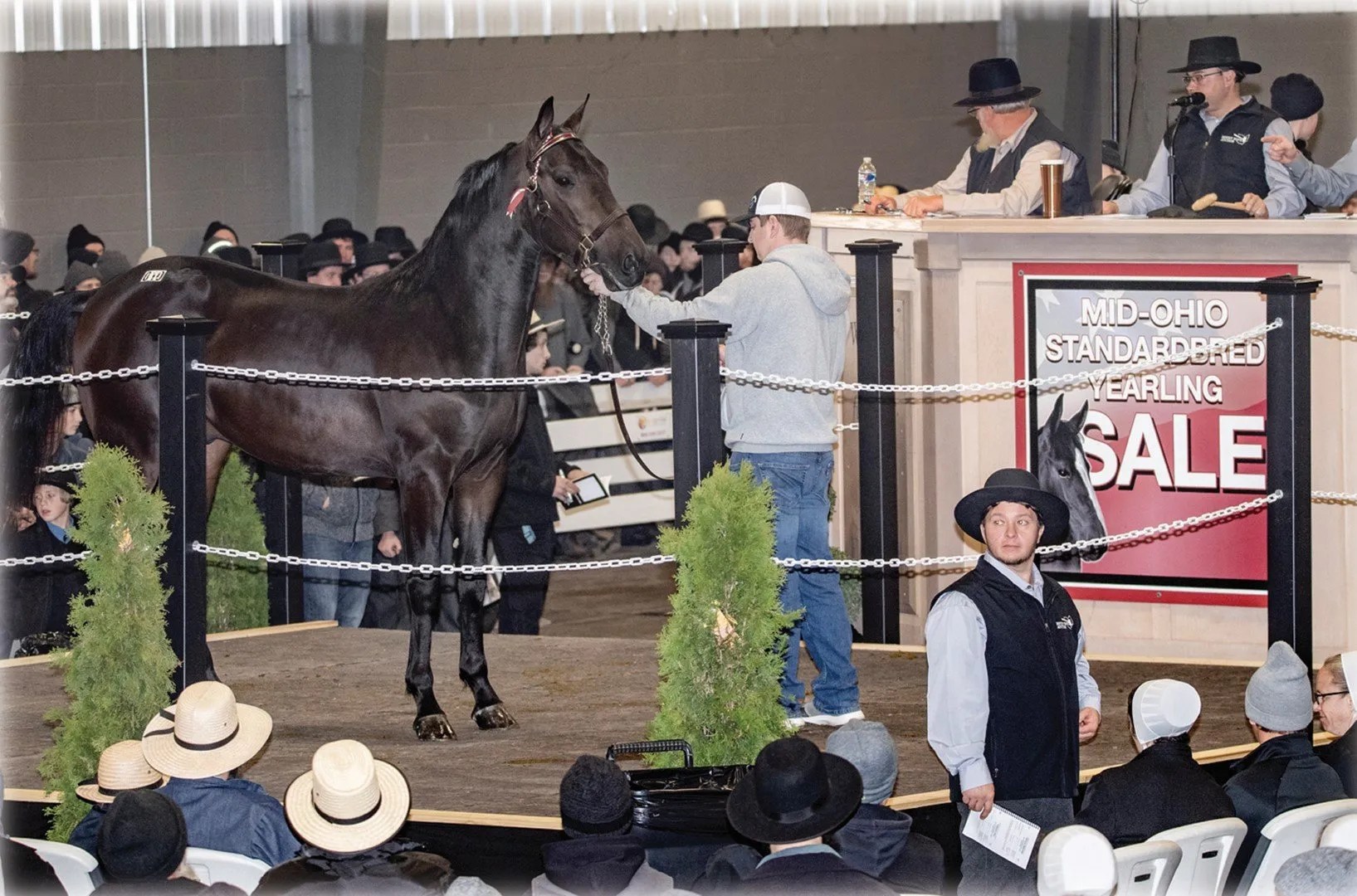 Gallery Mt. Hope Auction