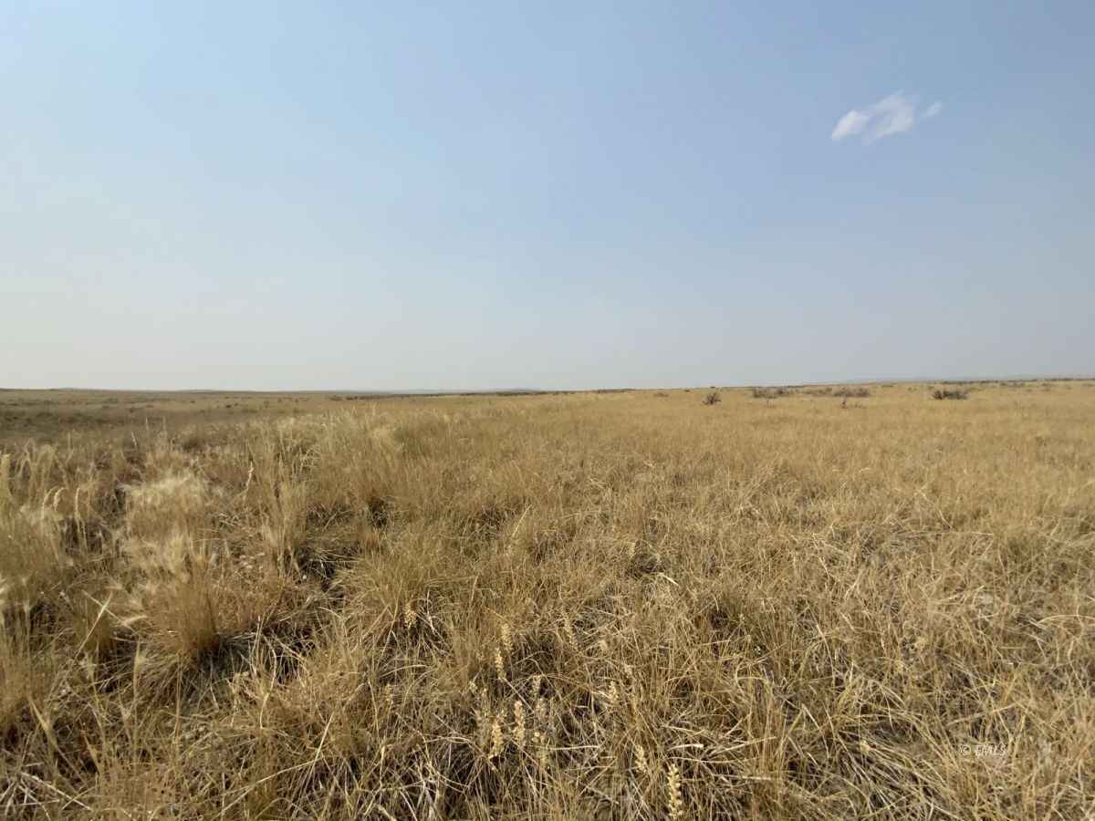 320 Acres of land, Ingomar, MT Eastern Montana Land and Home