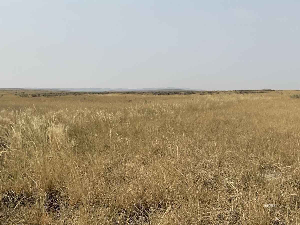 320 Acres of land, Ingomar, MT Eastern Montana Land and Home