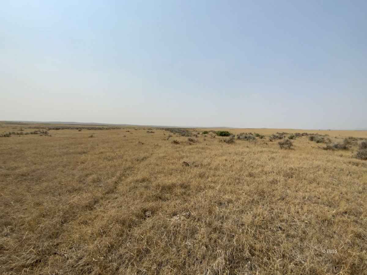 320 Acres of land, Ingomar, MT Eastern Montana Land and Home