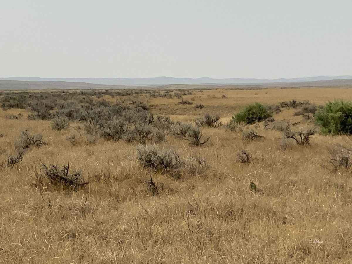 320 Acres of land, Ingomar, MT Eastern Montana Land and Home