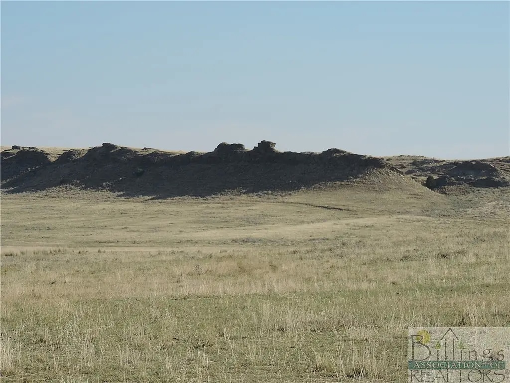 MoltRapelje Road Montana Land for Sale