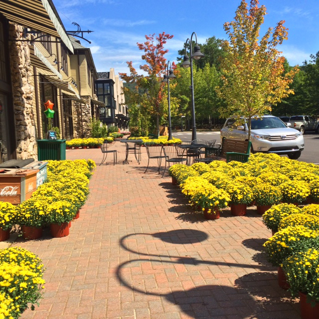 image1 The Town Of Mt Laurel