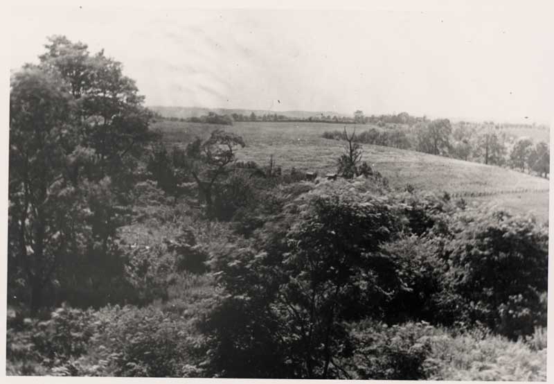 Mt Lebanon Public Library, PA Photo Gallery