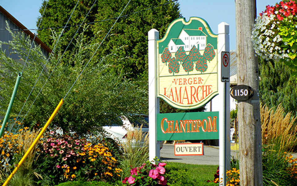 5 Best Apple Orchards Around Montreal