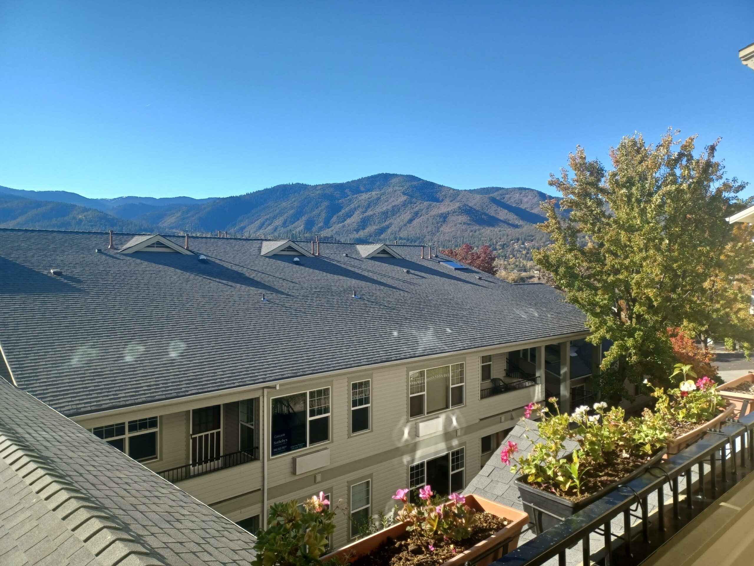 Home Mountain Meadows Realty