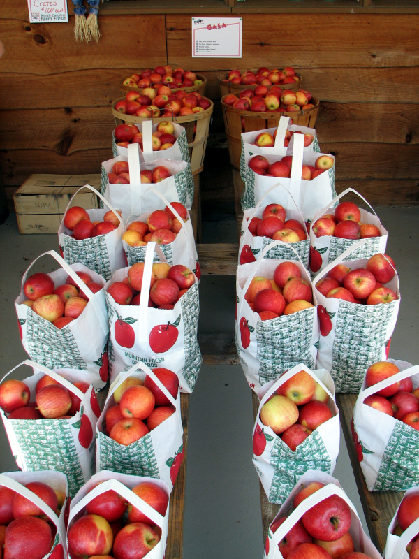 Hendersonville NC ApplesFresh Prepicked NC Apples — Mountain Fresh