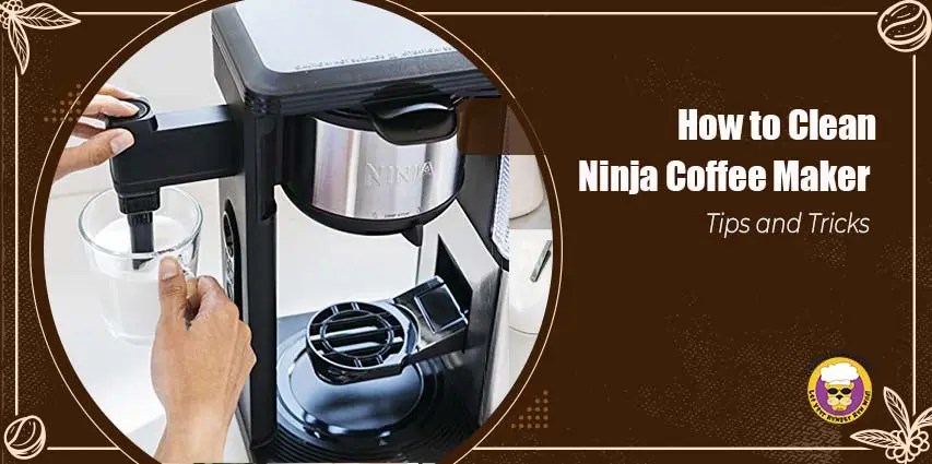 How to Clean Ninja Coffee Maker: Tips and Tricks - Mountain Lyon Cafe