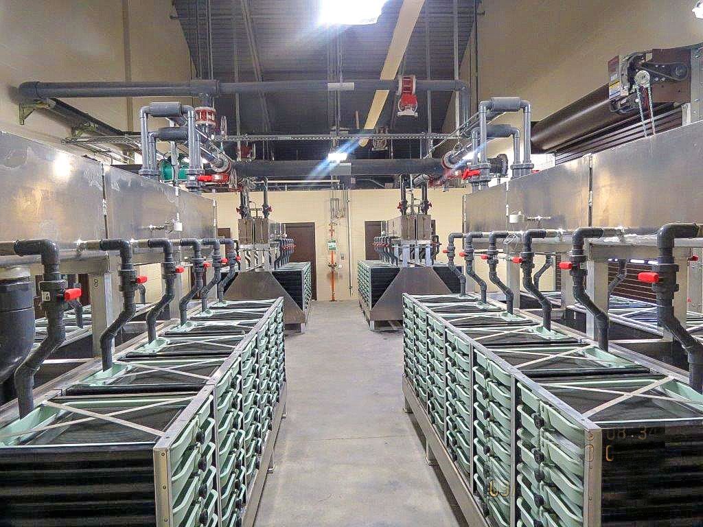 Springfield Fish Hatchery Mountain Power