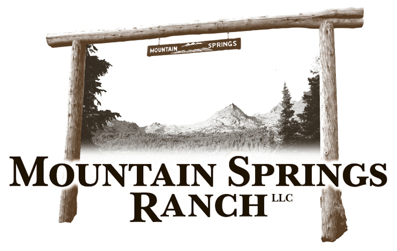 Mtn Springs Ranch LLC