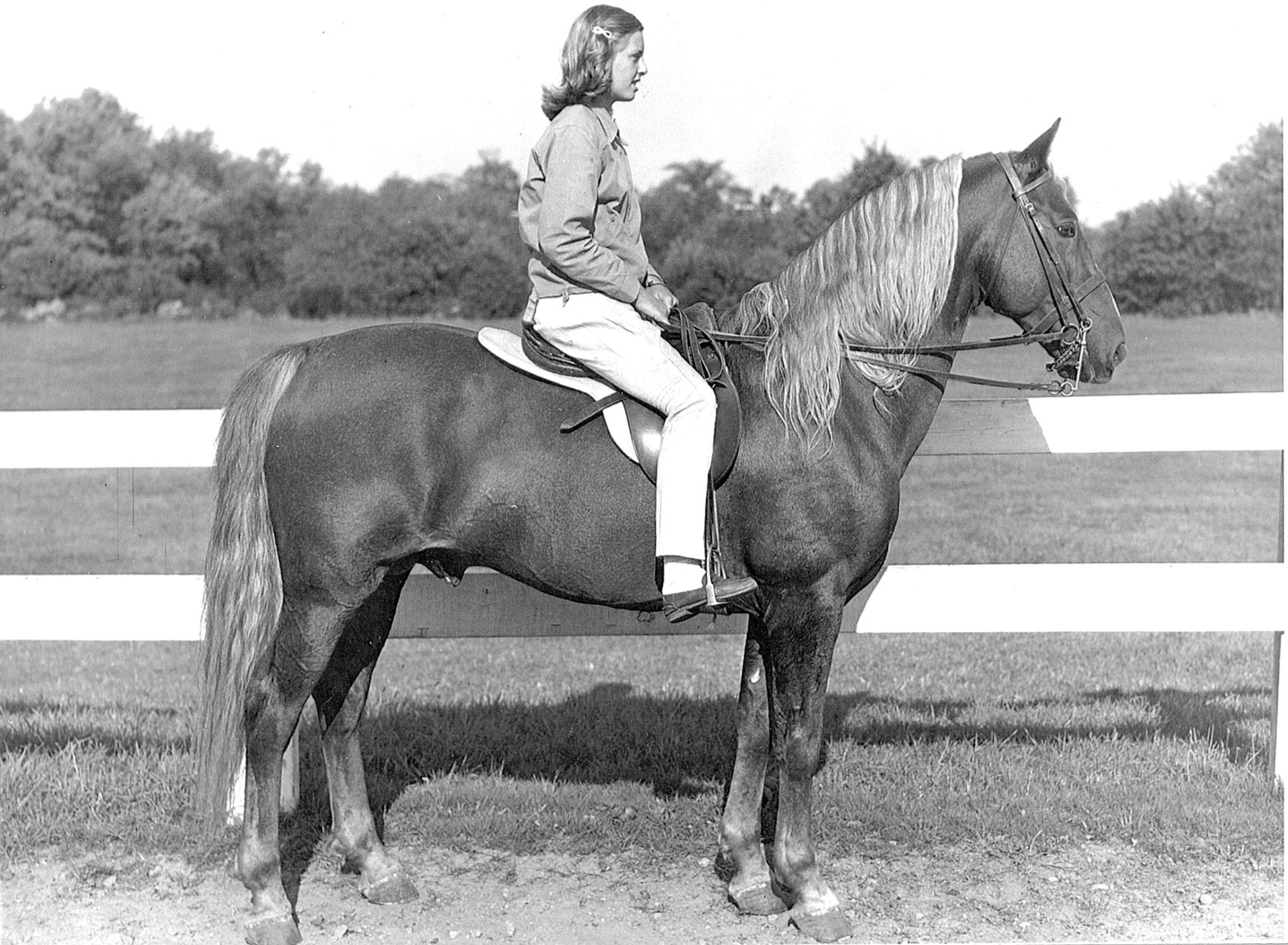 Mountain Top Spring Lake breeding classic type