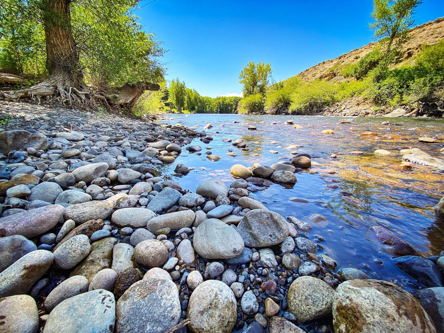 Travel in Gunnison, CO What to do in Gunnison