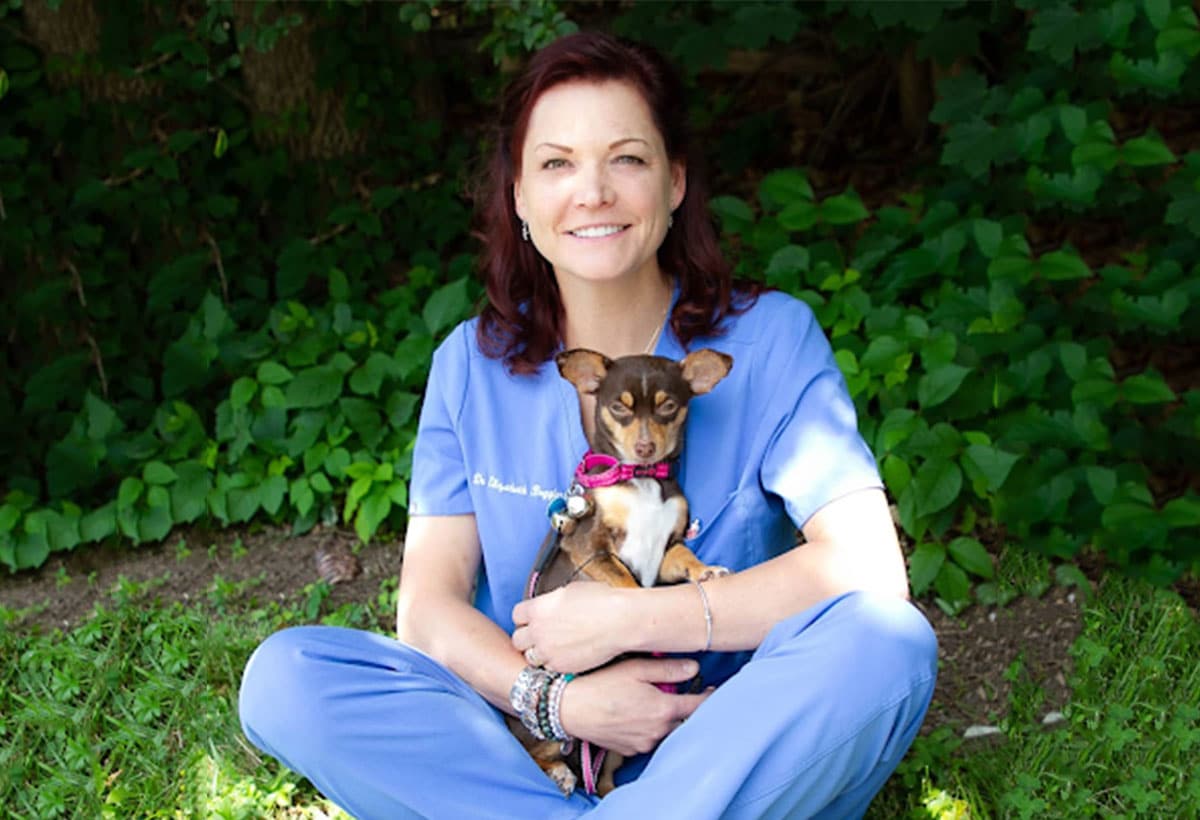 22+ Denville Animal Hospital DerecAniruddha