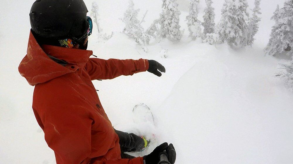 NOW Brigade Bindings Review Mountain Weekly News