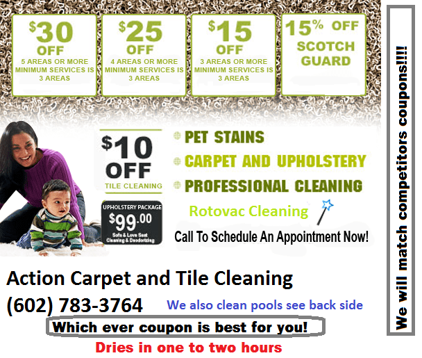 M. Todd Lewis Action Carpet and Tile Cleaning Company