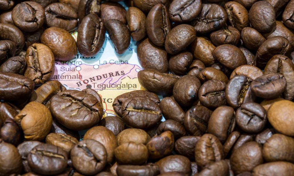 Everything you need to know about Honduran coffee