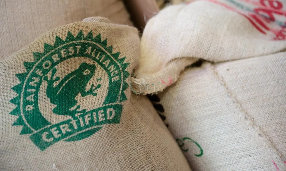 A guide to Rainforest Alliance Certified coffee