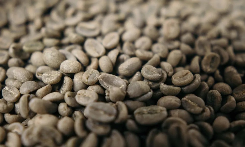 Quaker coffee beans everything a roaster needs to know