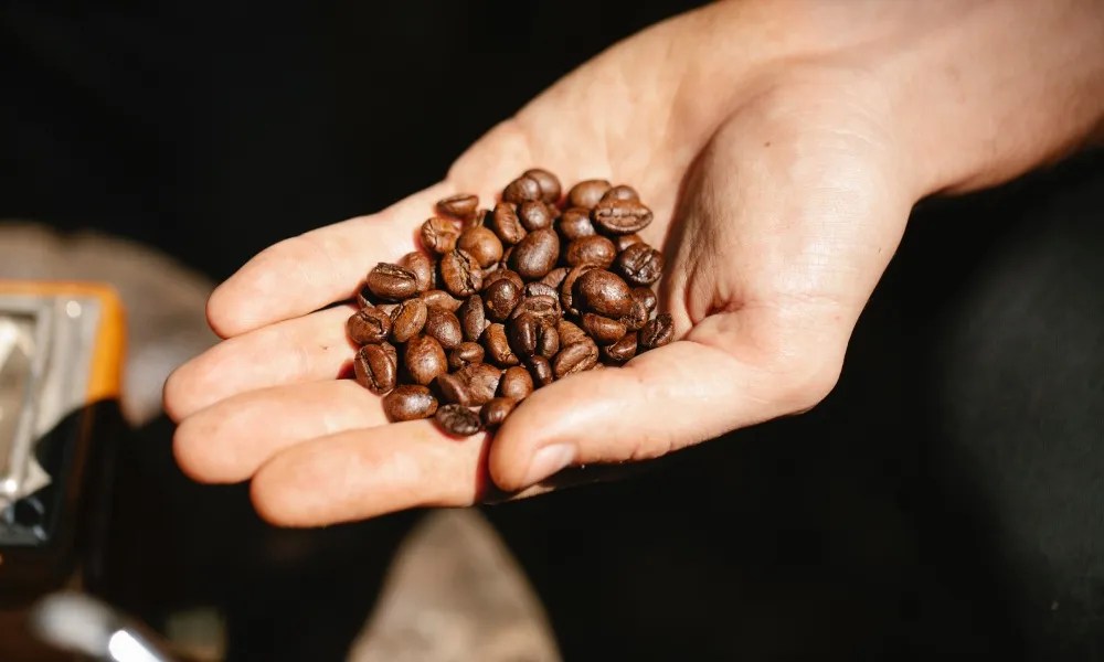 How much does light affect roasted coffee?