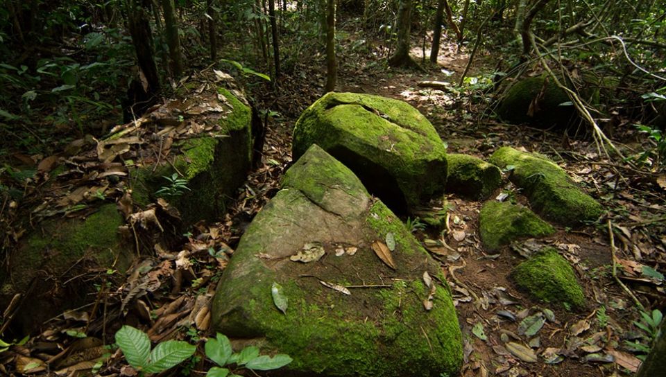 Home Owners Association Mountain Park