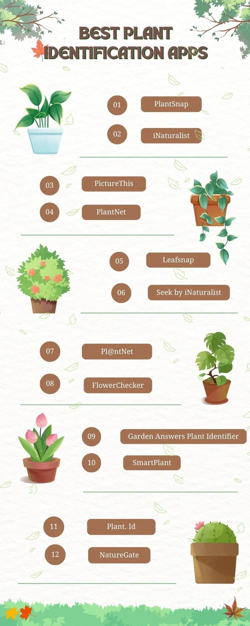 12 Best Plant Identification Apps for Instant Botanical Recognition