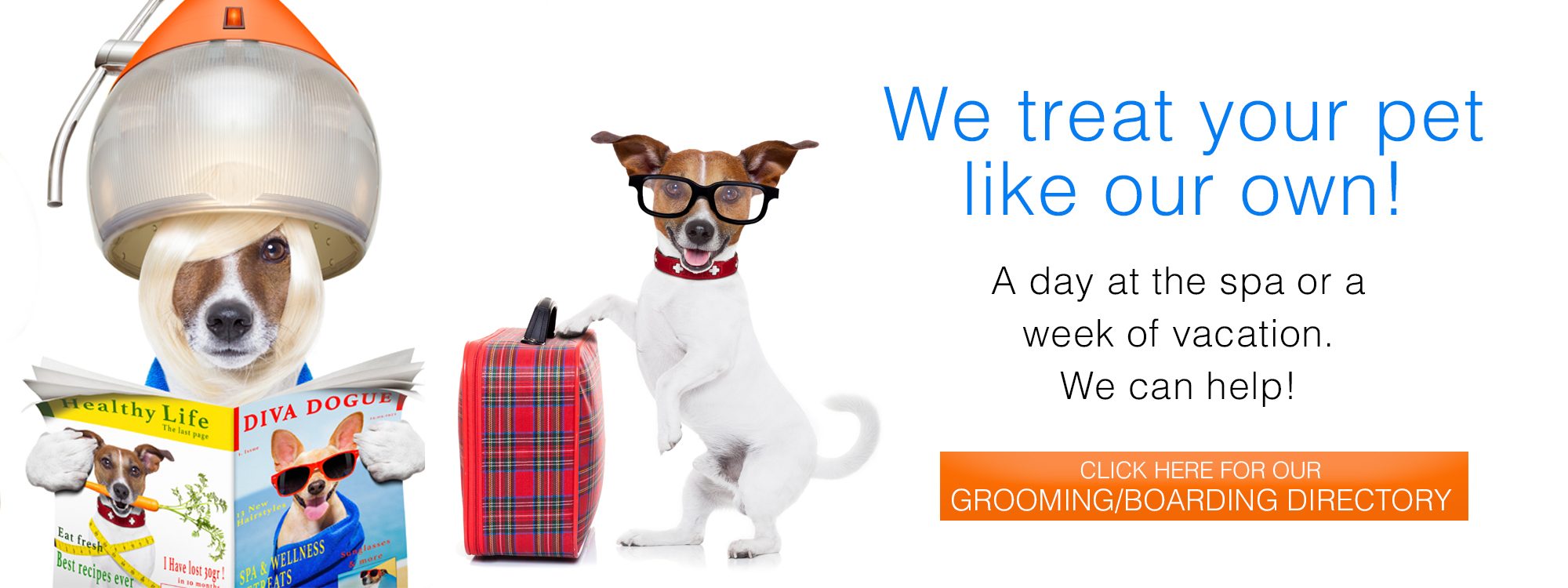 Mount Pleasant Pet Magazine Veterinarian, Pet Grooming, Boarding