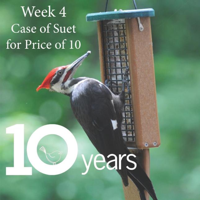 Wild Birds Unlimited Nature Shop