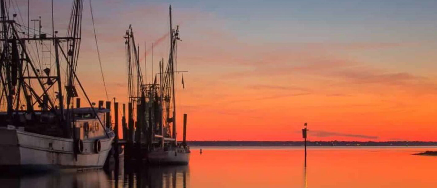 Charleston Local Fish And Seafood Market Fresh Fish, Oysters & Seafood Catering Mount Pleasant SC