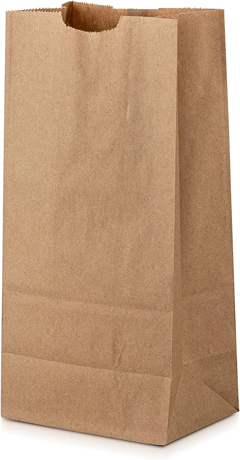 MT Products Disposable Brown Grocery / Paper Lunch Bags (100 Pieces