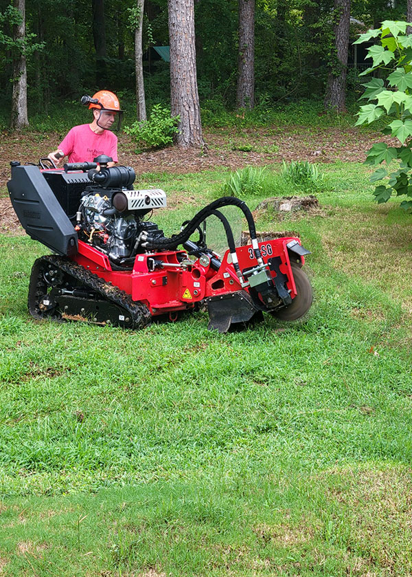 MTR Stump Grinding MTR Stump Grinding