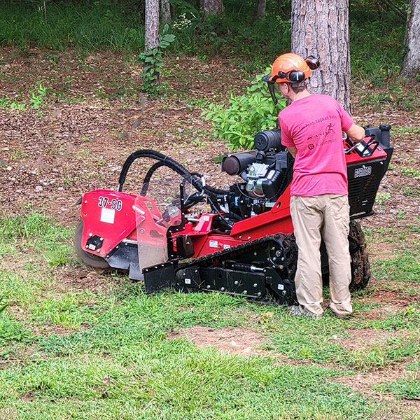 MTR Stump Grinding MTR Stump Grinding