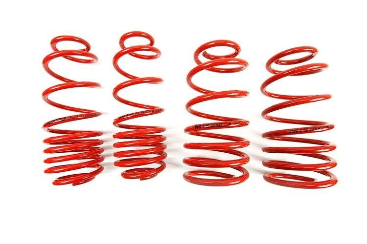 Lowering Springs Seat LEON (1M) MTS Technik