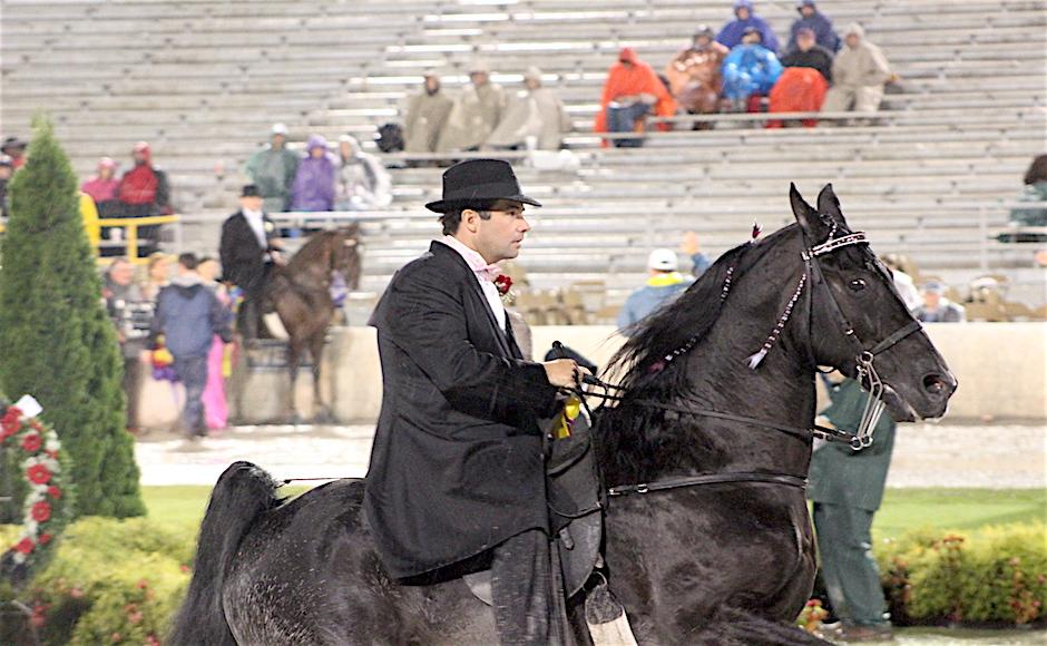 MTSU alum Bill Callaway to ride ???Gen???s Black Maverick??? for Tennessee