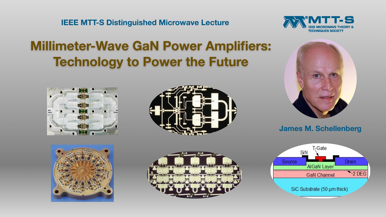 Gan power amplifier vicaflowers