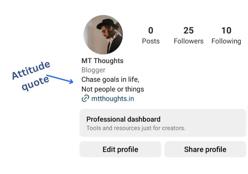 150+ Instagram Bio Quotes 2024 Stylish & Cool