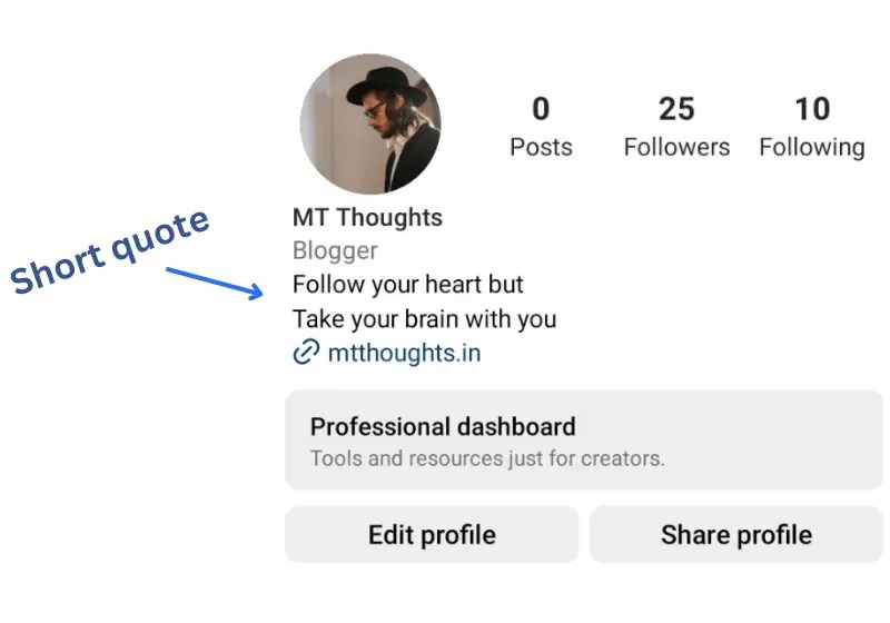 150+ Instagram Bio Quotes 2024 Stylish & Cool