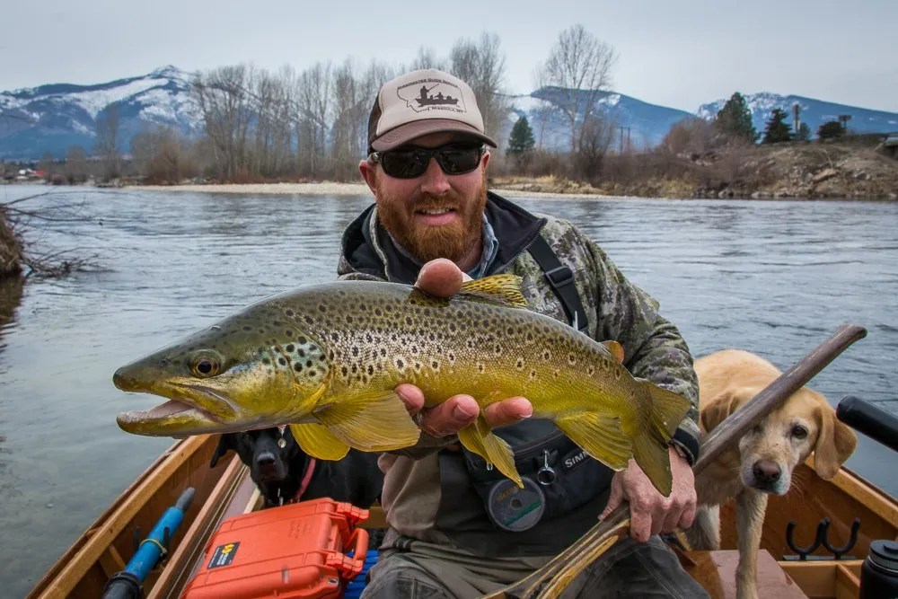 MIssoula Fly Fishing Report Montana Trout Outfitters