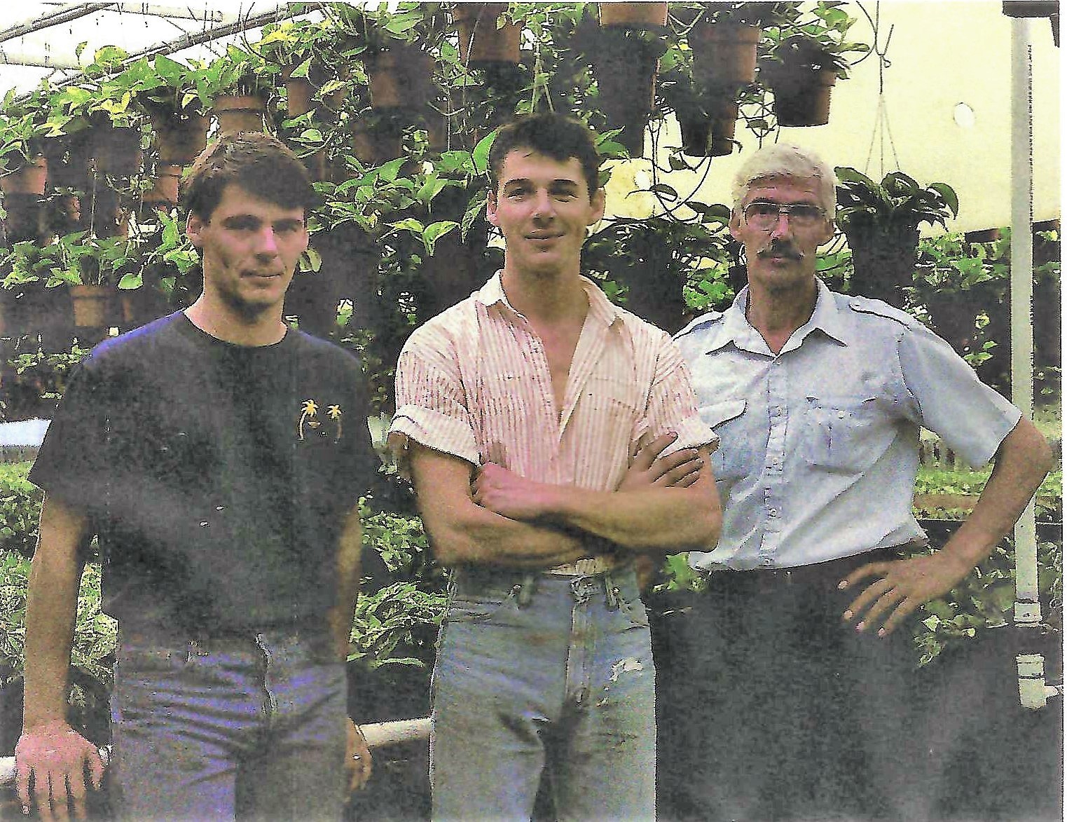 Our Story Mountain View Nursery