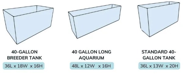 40 Gallon Fish Tank Dimensions & Size Guide (Breeder, Long, Tall)