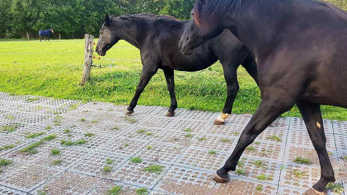 Mud Control Grids by HAHN Plastics The Instant solution to mud