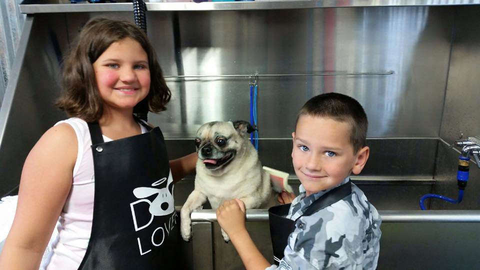 Muddy Paws Dog Wash and Grooming