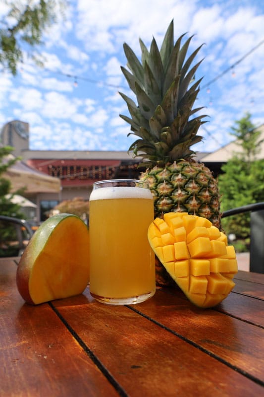 Mango, Guava, AND Pineapple?! MudHen Brewing Company