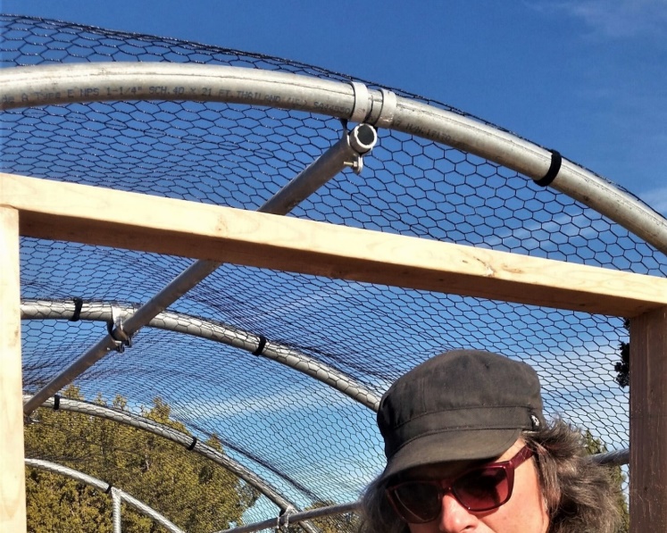 NM Greenhouses Santa Fe & ABQ Mud Hub Greenhouses