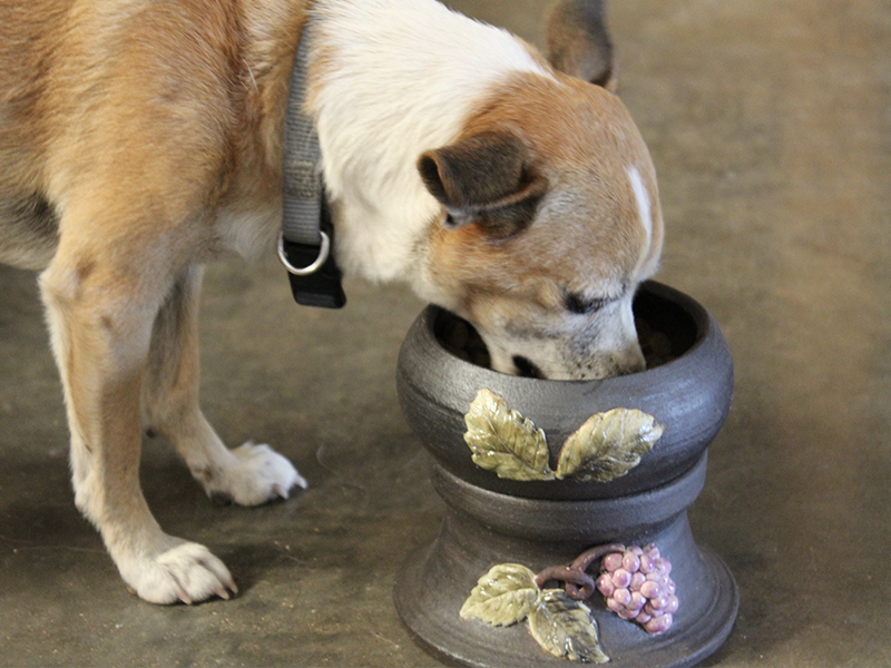 FEATURED ART Dog Bowls Mud Magic Art