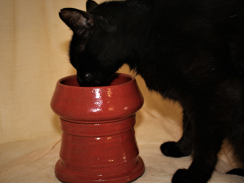 FEATURED ART Dog Bowls Mud Magic Art