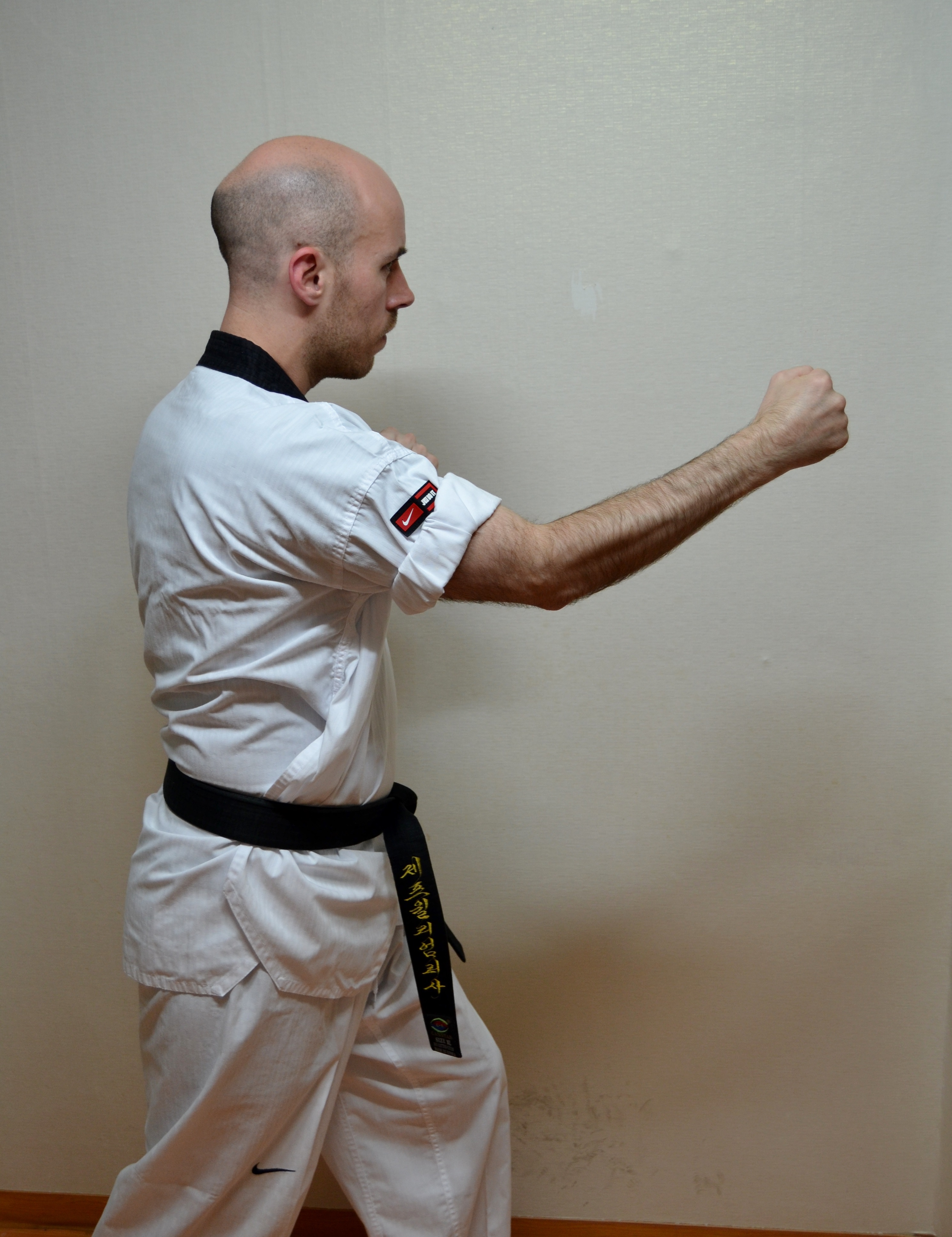 The Reverse Punch Avoiding Elbow Injuries Mudo Korean Martial Arts