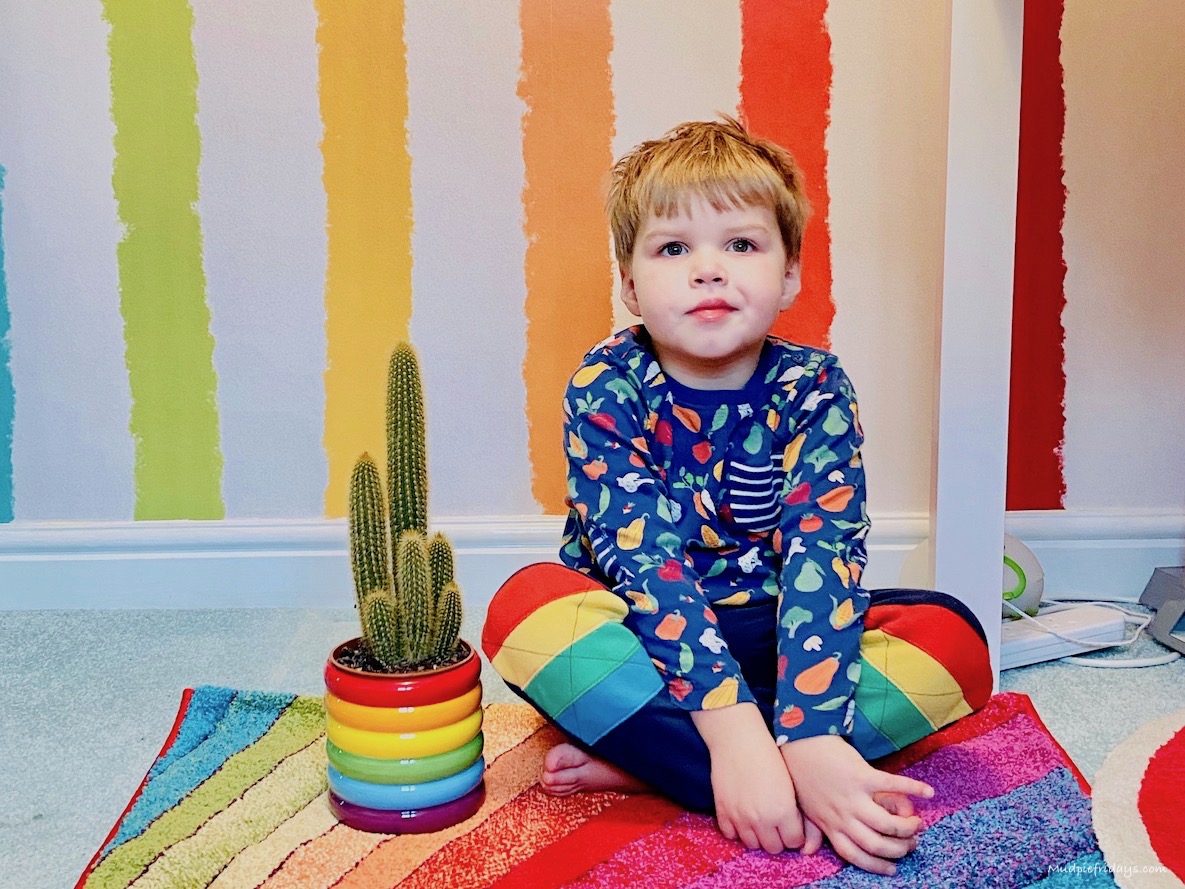 Rainbow Bedroom Ideas for a Little Boy
