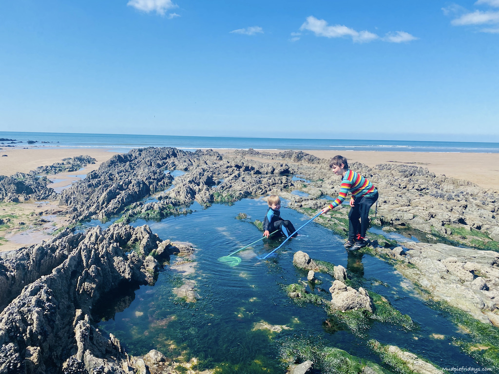 Best Place for Rock Pooling in North Devon